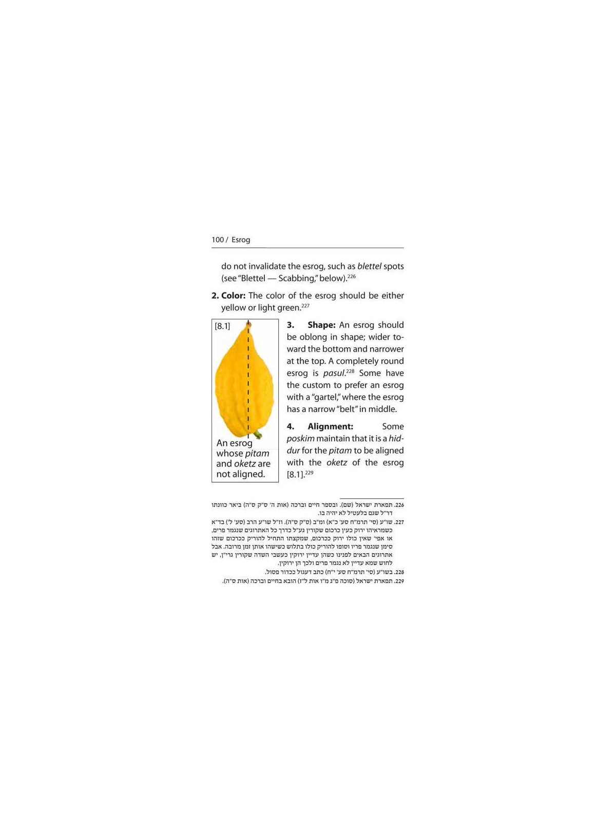 Halachic Handbook: The Laws of the Succah and Four | Sukkot | Judaica